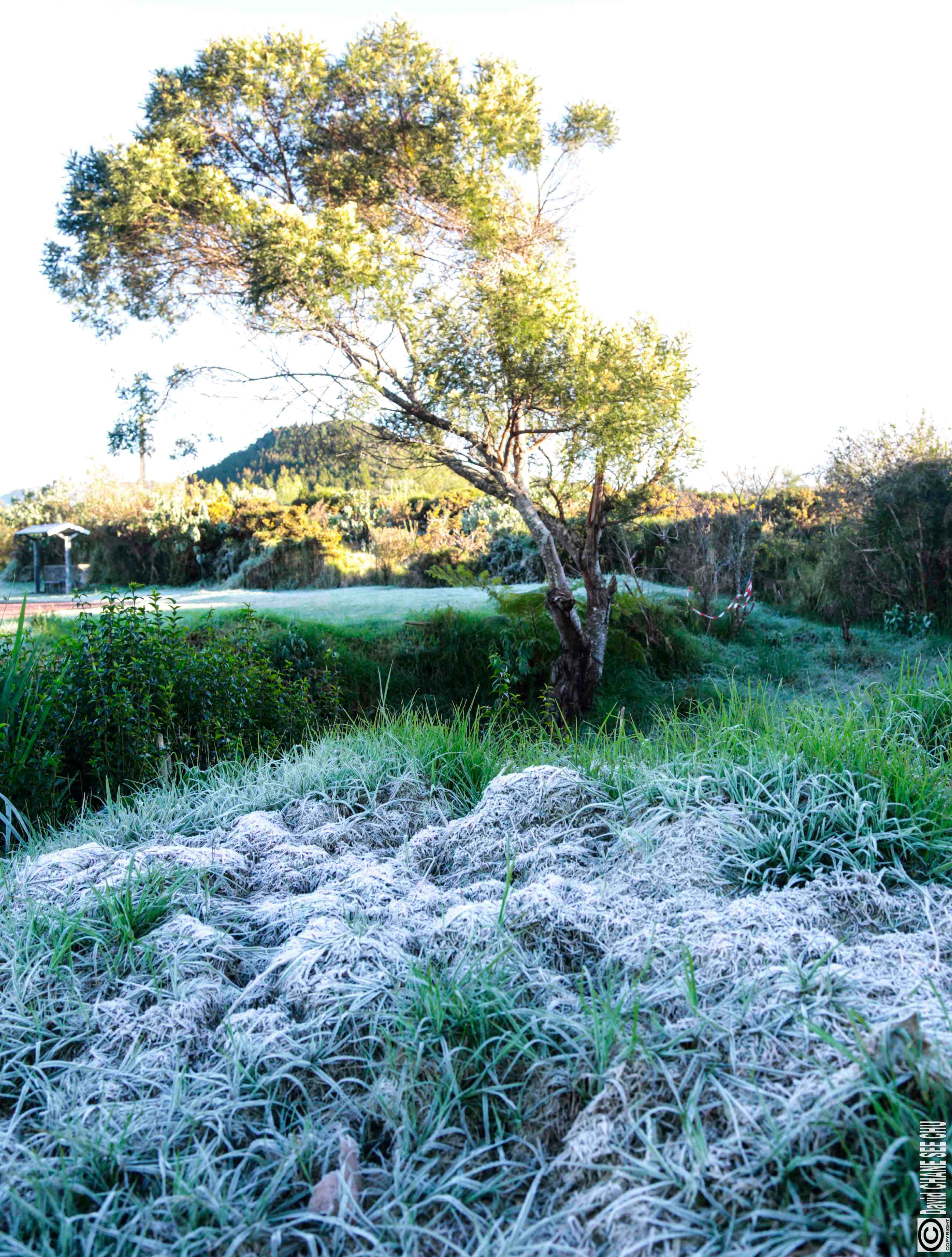 De la "neige" à la Plaine des Cafres?