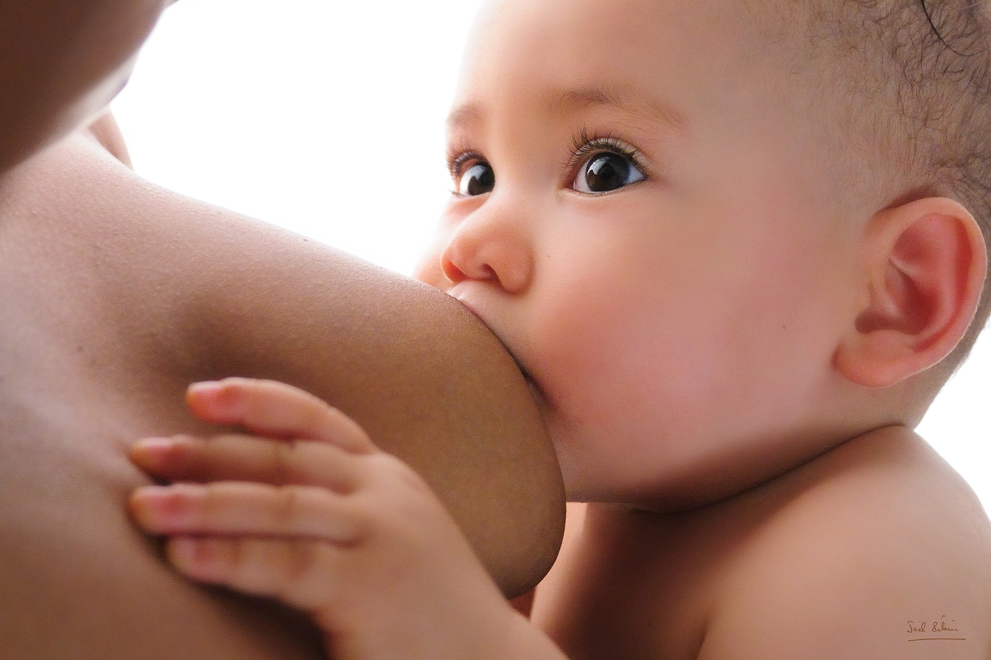 Les photos interdites de l'exposition Pélerin