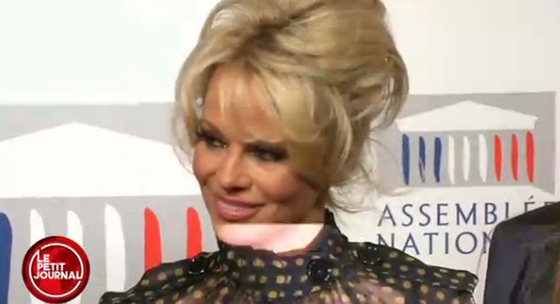 Pamela Anderson à l'Assemblée Nationale<br> Deux journalistes se tapent dessus!