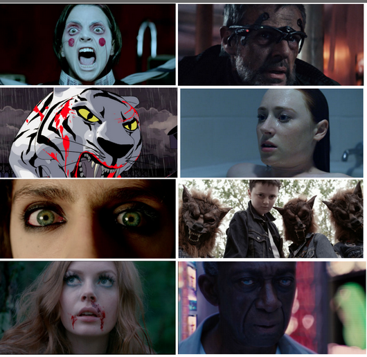 55 courts métrages sont au programme