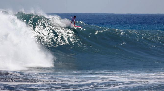 Gestion du risque requin<br>Saint-Leu choisit des acteurs privés, la Région réagit