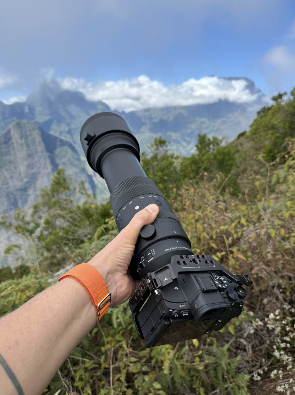 La faune de la Réunion tout simplement magnifique