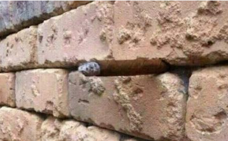 La photo mystère du mur: c'était...