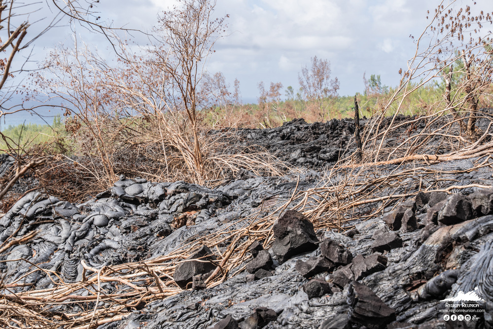 Route des Laves – RN2 : le chantier est lancé !