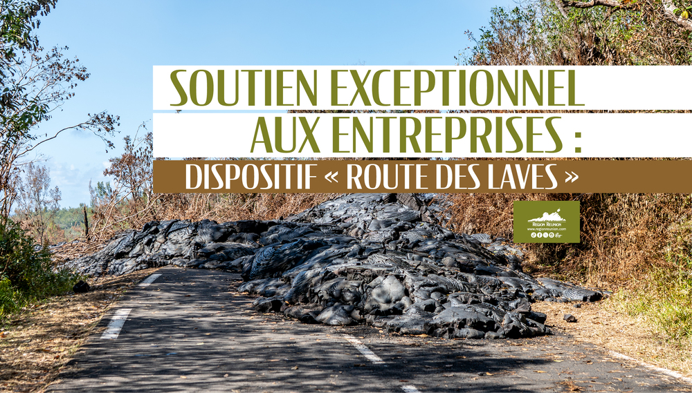 Soutien exceptionnel aux entreprises : dispositif "Route des laves"