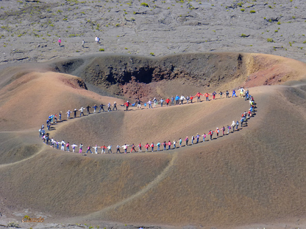 Formica Léo auréolée.Cette sortie était encadrée  par 2 guides de la cité du Volcan et des bénévoles réunionnais.
