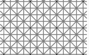 L'illusion d’optique qui rend fou les internautes
