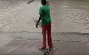 Une savate pour repousser un crocodile