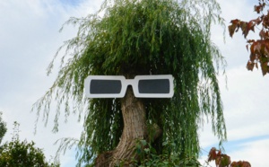 Un arbre à l’effigie de Polnareff