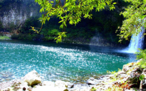 La tradition du pique-nique réunionnais en danger ?