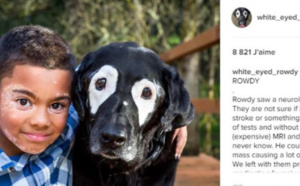 Le petit garçon et le chien atteints de vitiligo : une rencontre émouvante