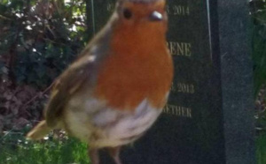 Une preuve de la réincarnation de son petit garçon?