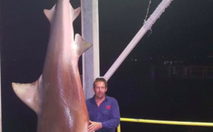 La pêche d'un énorme requin bouledogue fait polémique