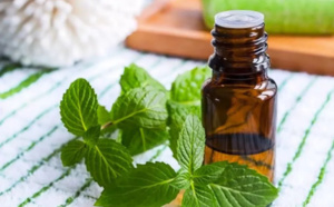 Fourmis dans la kaz : ca mi vé pa !