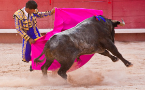 Un matador fauché dans l'arêne