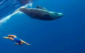 Unique : Une championne de natation synchronisée plonge à La Réunion avec des baleines...