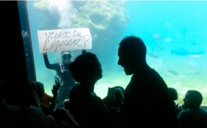 Une incroyable demande en mariage à Kélonia