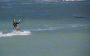 Observation de requins bouledogues à St-Pierre et Trois-Bassins