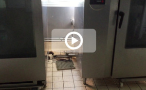 St-Benoît: Cancrelats, moisissures, climatisations sales... La cuisine centrale insalubre