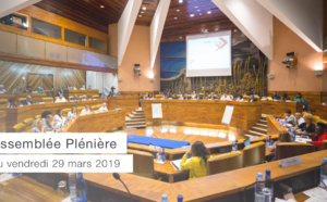 Assemblée Plénière du 29 mars 2019 - Budget primitif 2019