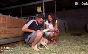 L'Amour n'est plus dans le pré pour les Réunionnais préférés des téléspectateurs