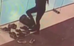 [VIDEO] Elle s'écrase 3 fois contre la vitre !