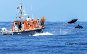📷 Superbe photo de dauphins escortant une vedette de la SNSM