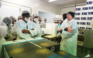 Développement des produits Péi dans la restauration scolaire