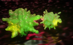 Quand le Coronavirus se fait passer pour la dengue...