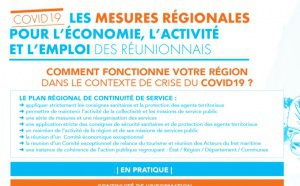 Les mesures régionales pour l’économie, l’activité et l’emploi des Réunionnais