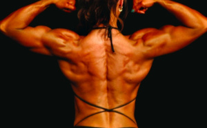 Produits dopants dans le milieu du culturisme : un trafic démantelé