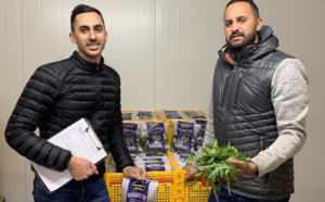 Les Grondin : une affaire de salades...