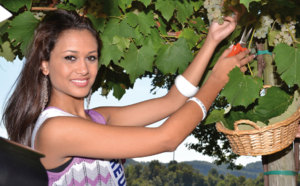 Astoria, histoire d'un vin italien très pétillant