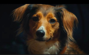  "En France, la peine de mort n'existe plus sauf pour les innocents abandonnés ": la campagne choc