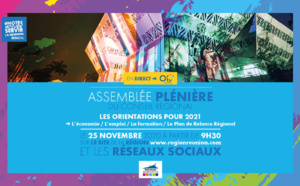 Orientations Budgétaires 2021 : Assemblée Plénière du 25 novembre 2020