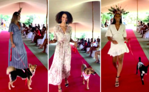 Un défilé qui a du chien : la Fashion dogs de la SPA du Sud