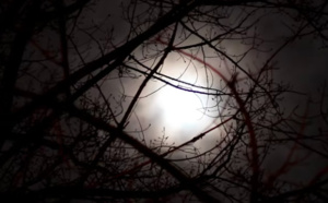 La terrible conviction du père de Maëlys sur l'assassin de sa petite fille