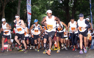 Dodo Trail Un cocktail explosif en trois dimensions