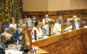 Comité Économique Régional