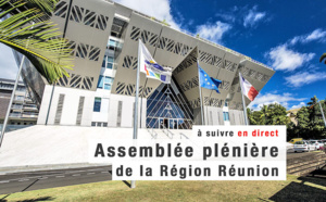 Assemblée Plénière du 22 novembre 2021
