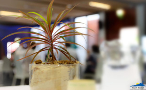 Les 1ères rencontres des acteurs DAUPI (Démarche Aménagement Urbain et Plantes Indigènes)