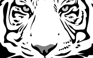 Votre horoscope 2022 de l'année du Tigre