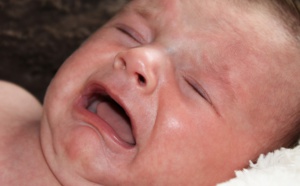 Bébés congelés : la mère présumée mise en examen