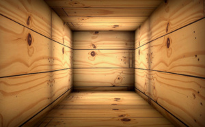 Déclarée morte, elle se réveille, enfermée dans son cercueil