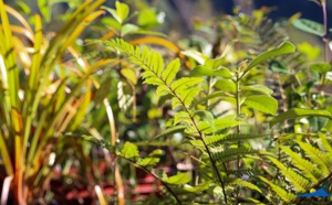 Fete de la Nature - 18 mai