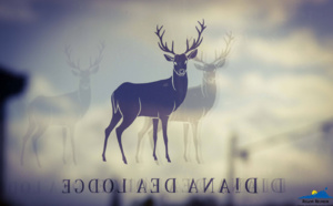 La Région apporte son soutien au Diana Dea Lodge