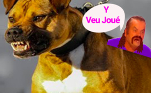 Il égorge un chien de défense pour sauver des jeunes femmes