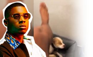 Le rapeur Timal se filme en train de battre son chien