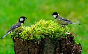 Le millionnaire quitte sa femme pour la réfugiée ukrainienne que le couple héberge