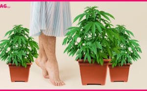 Une très mauvaise soirée trop arrosée